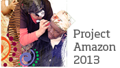 Project Brazil Blog Link