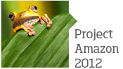 Project Brazil Blog Link